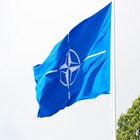 NATO 2014: 10 Years On