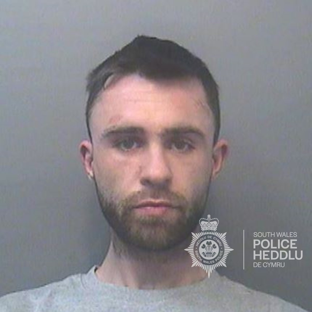 Michael Francis.jpg