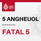 Fatal 5