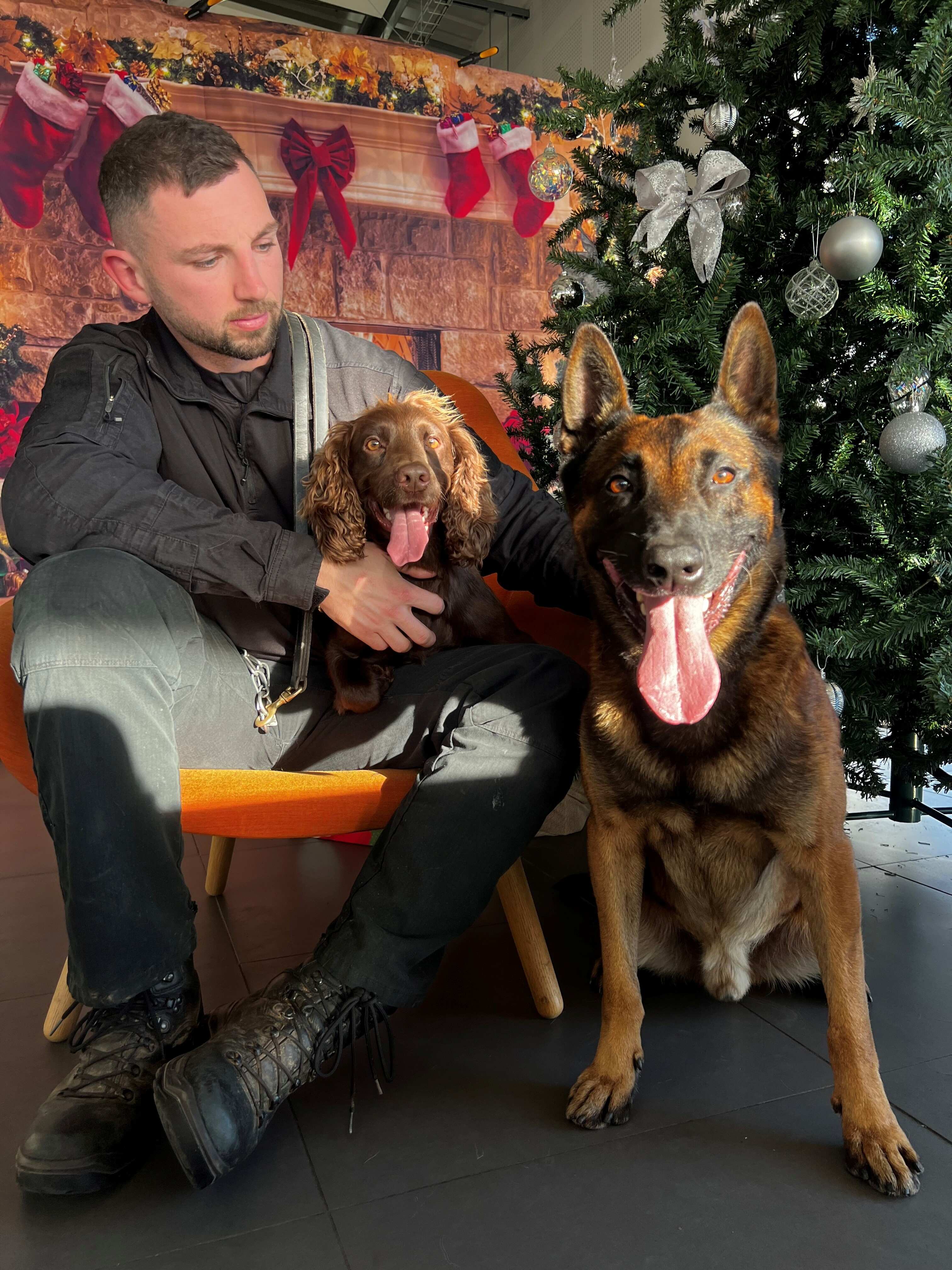 SWP6024 PC Owain Davies - Dog Ha 1mb.jpg