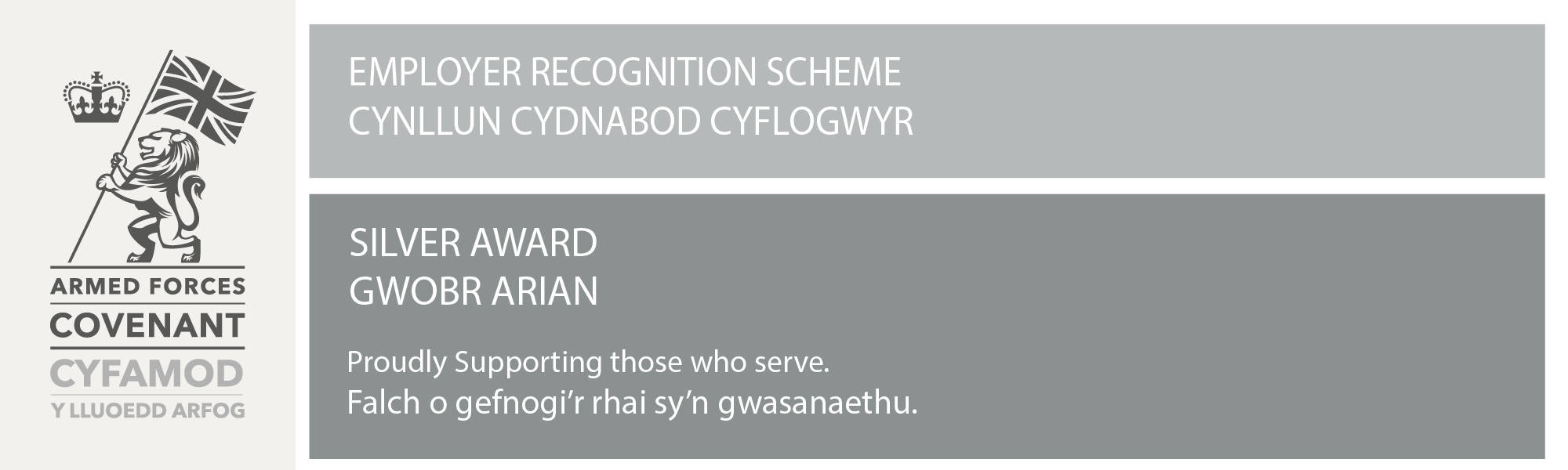 ERS_Silver___Welsh_Banner__Updated_.png
