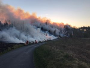 Heddlu De Cymru yn cyhoeddi rhybudd i’r rhai sy’n â chychwyn tanau glaswellt 'bwriadol a dinistriol'