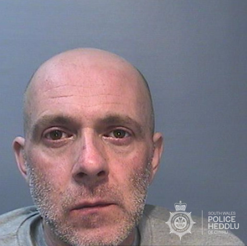 Mathew PICKERING SWP.png