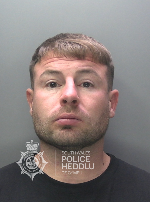 David DAVIES SWP 2025.png