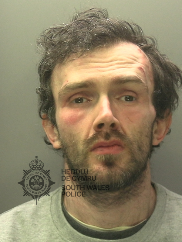 Ceri GIBSON SWP.png