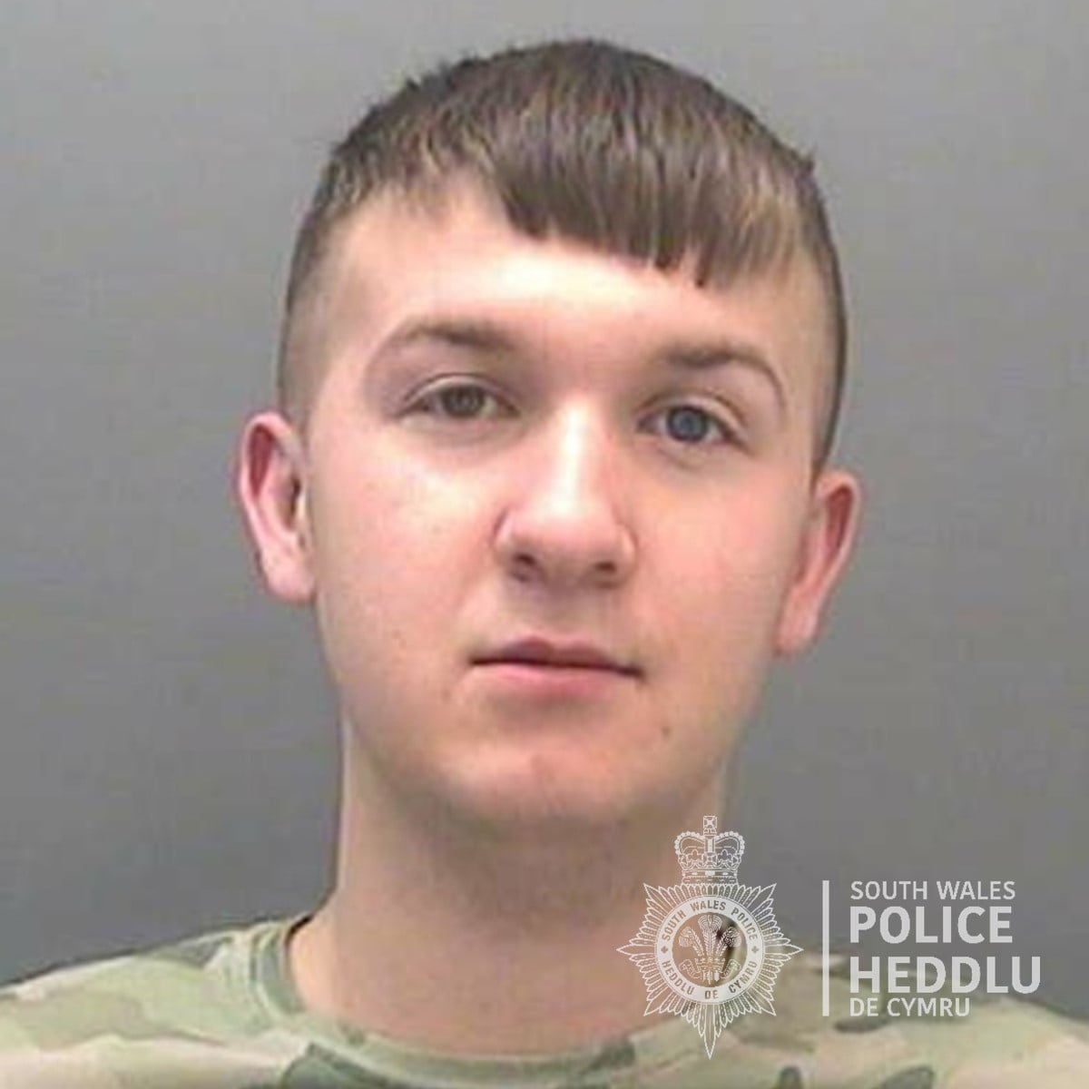 Ethan Hopkins custody image 